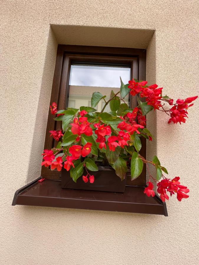 Sloneczne Apartamenty Polanica-Zdroj Bagian luar foto